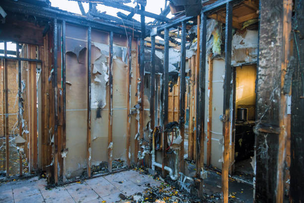 Professional Fire Damage Removal technician working in Farmersville, CA